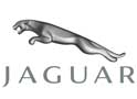 http://www.fib.is/myndir/Jaguar_Logo.jpg