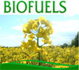 http://www.fib.is/myndir/Biofuels.jpg