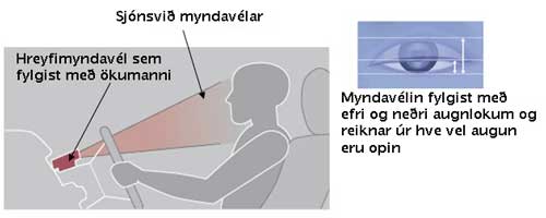 http://www.fib.is/myndir/Svefnvidvorun.jpg