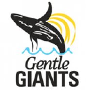 Gentle Giants Hvalaferðir