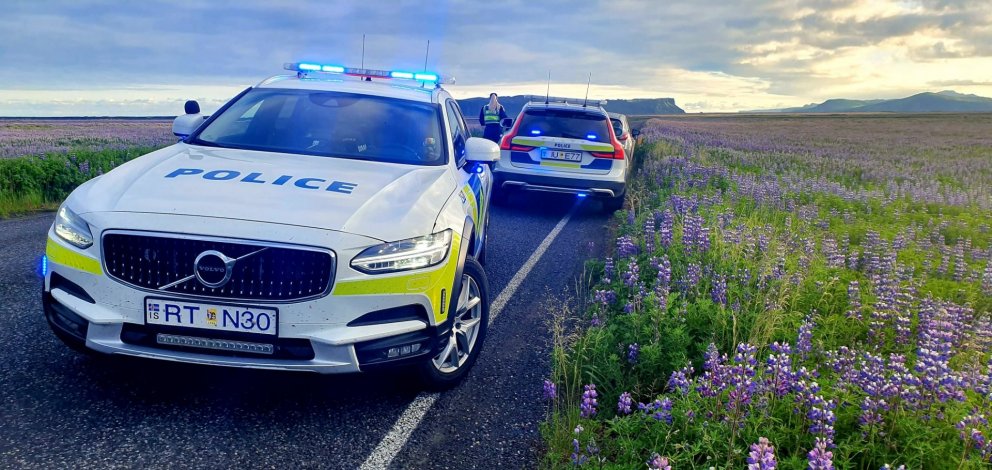 Greiddu á aðra milljón í hraðasektir