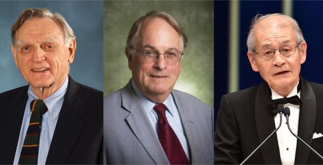 Nóbelsverðlaun fyrir litíumjónarafhlöður